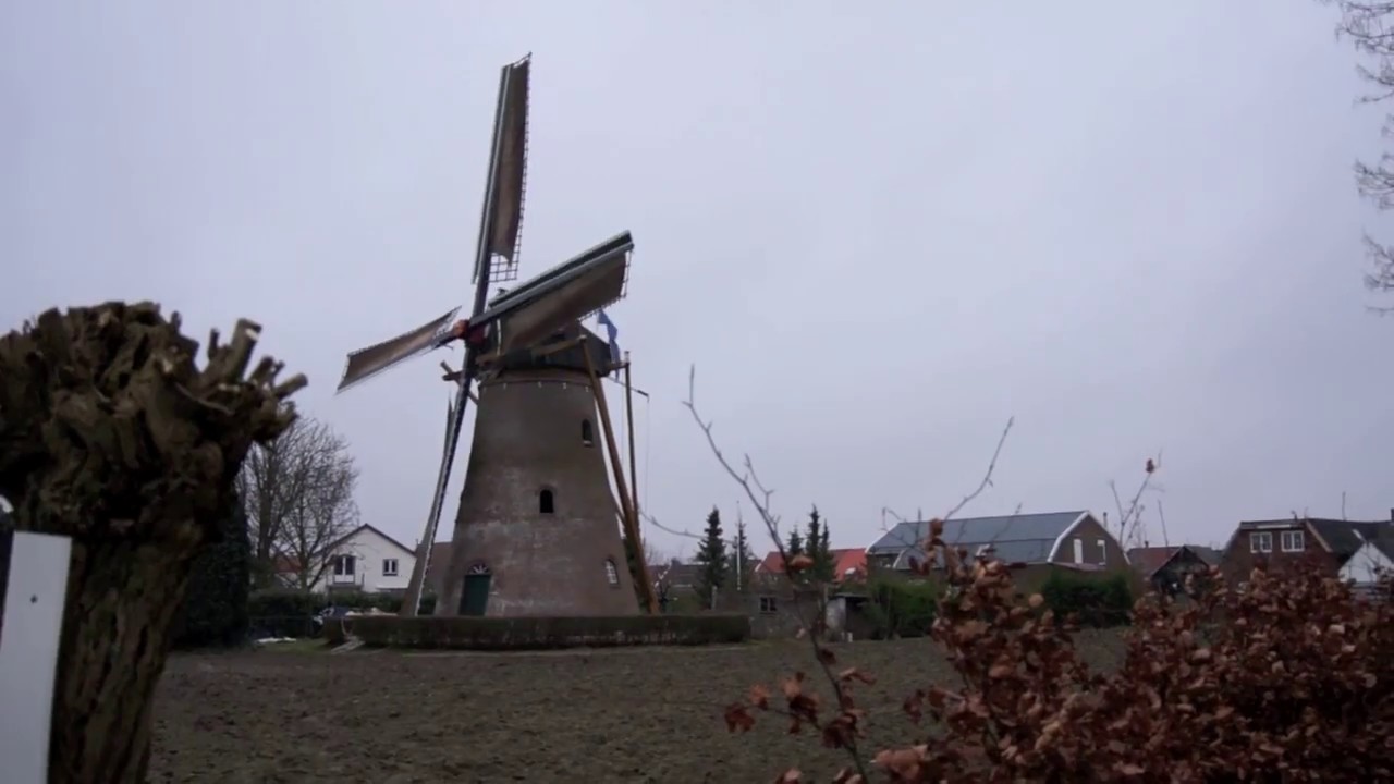 De Rozeboom