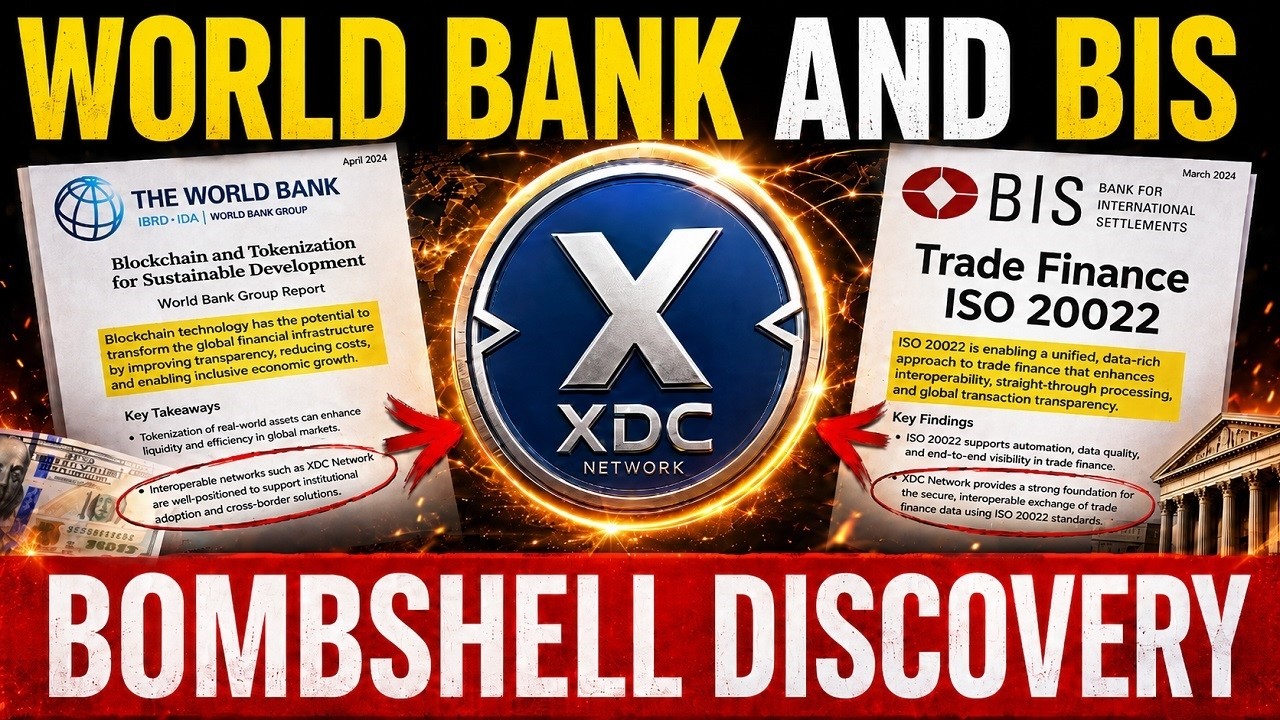🌐 Сенсационное открытие XDC, Всемирного банка и BIS!