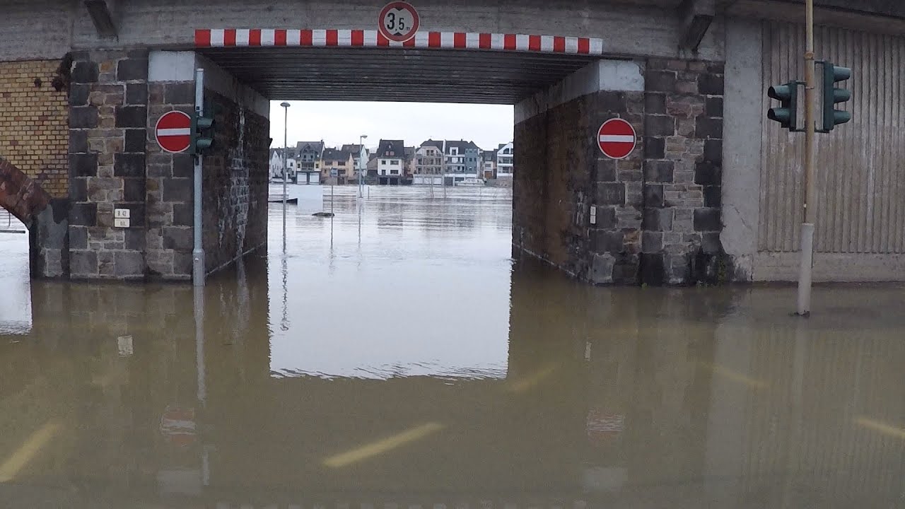 Hochwasser Rhein 01.02.2021