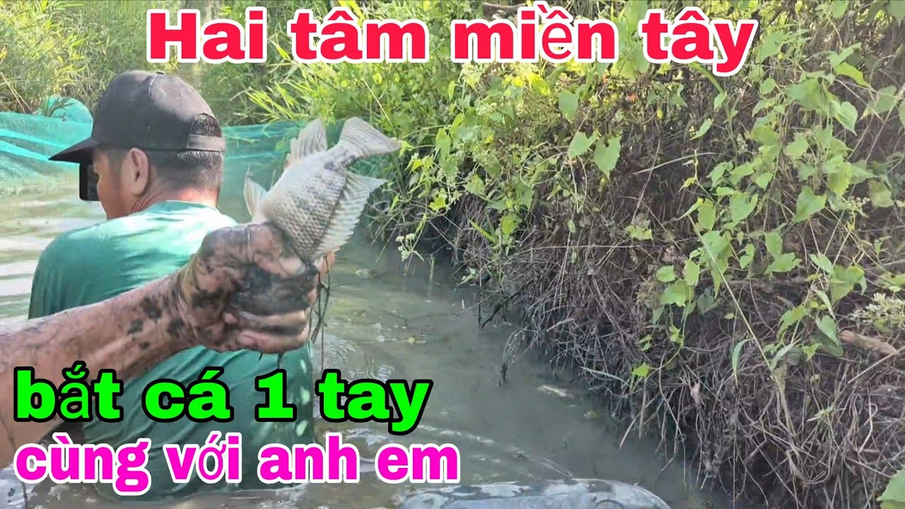 Hai tâm miền tây bắt cá một tay cùng với anh em