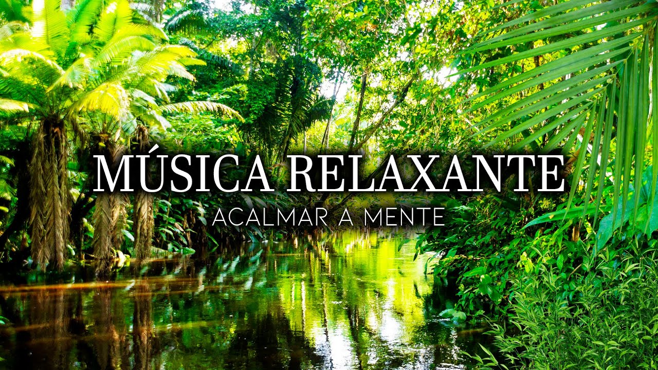 M&uacute;sica Relaxante Com Sons de &Aacute;gua e Floresta Tropical Para Acalmar - Sinta-se na Natureza
