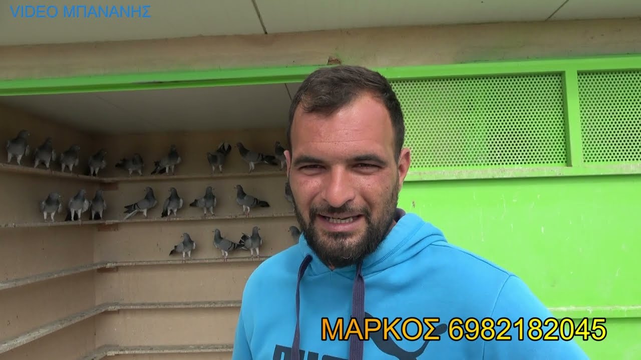 ΜΙΑ ΟΜΑΔΑ ΤΥΡΝΑΒΙΤΙΚΑ ΚΑΙ ΜΙΑ ΒΟΛΙΟΤΙΚΑ ΜΑΡΚΟΣ ΣΥΛ ΣΑΝΤΟΡΙΝΗΣ 2024