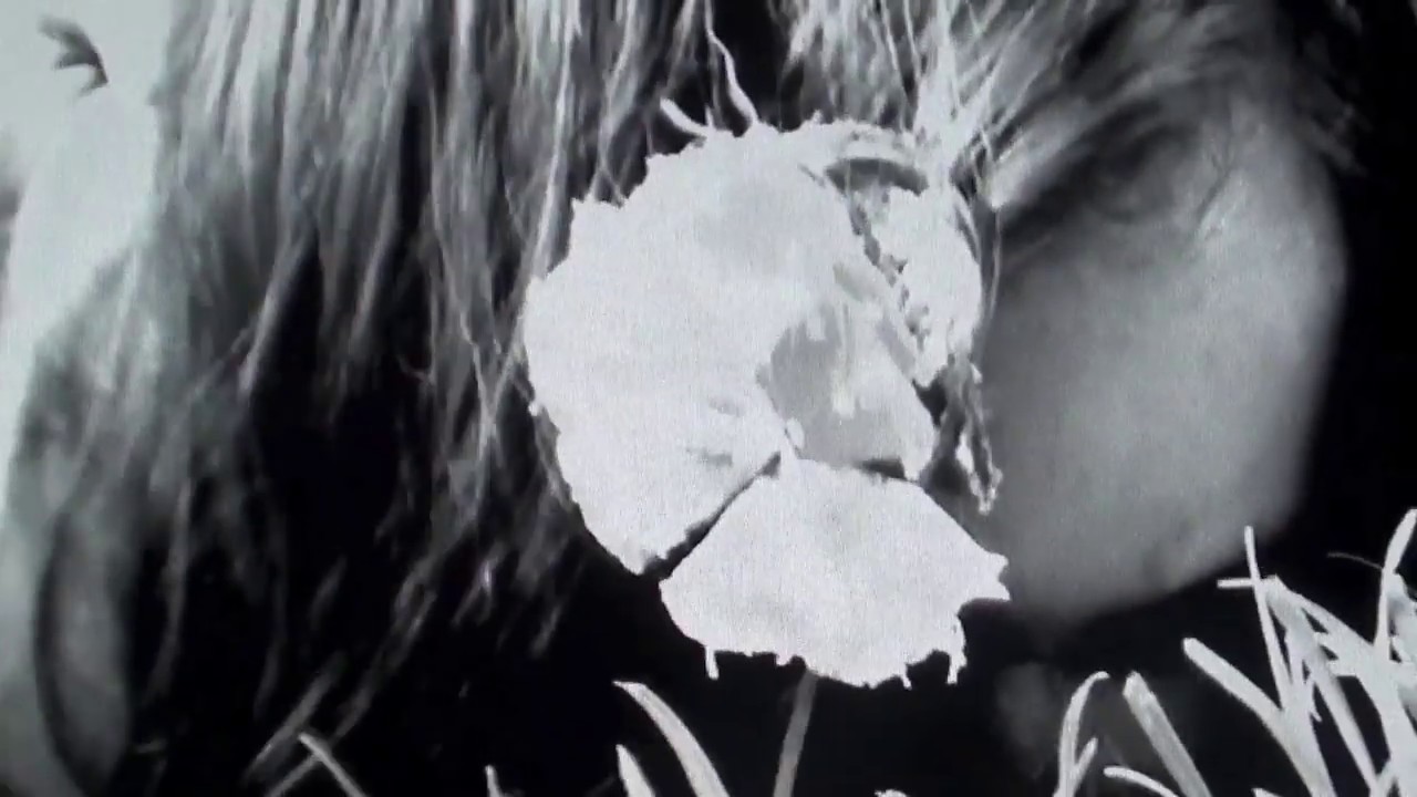 Herzfeld Orchestra - I Mean Love