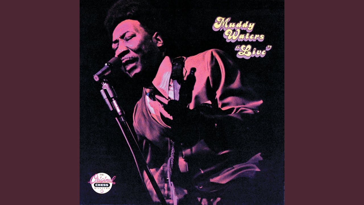 You Don't Have To Go (Live At Mr. Kelly's/1971)