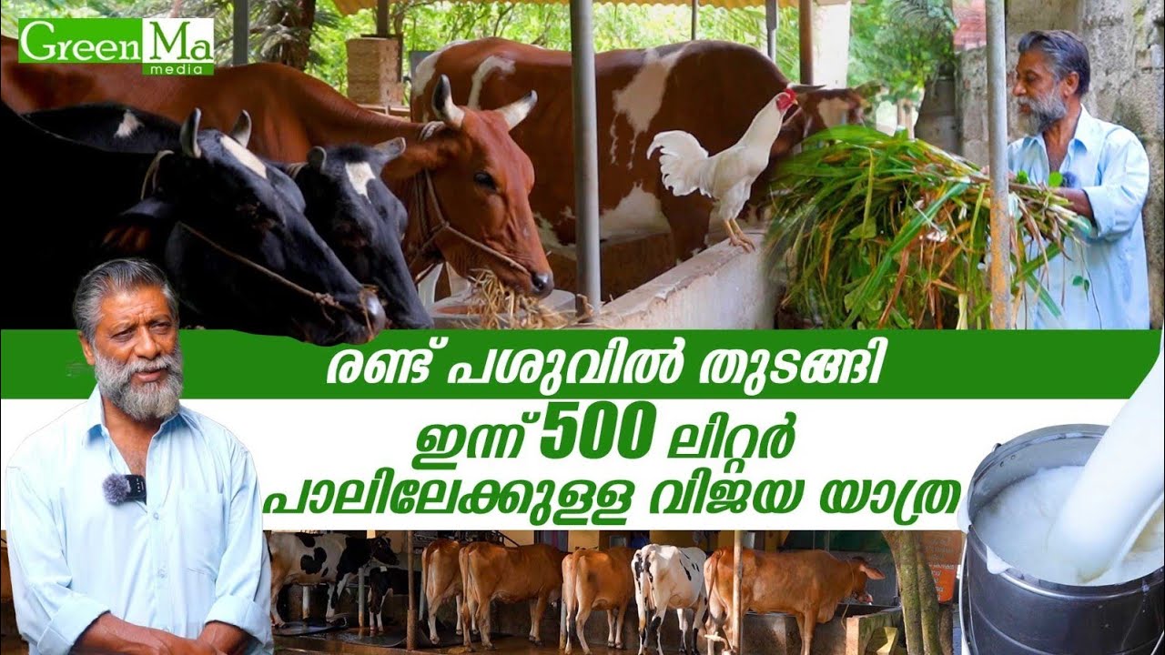 റിട്ടയേർഡ് സൈനികൻ തുടങ്ങിയ പശു ഫാം ഇന്ന് മികച്ച വരുമാന നേടുമ്പോൾ
