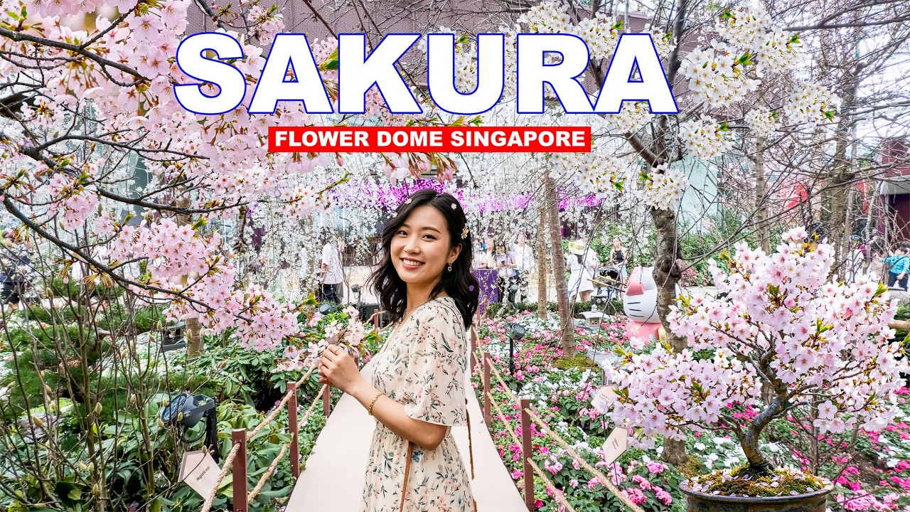 🌸 Sakura 2026 at Singapore Flower Dome | Singapore Gardens with Full Of Sakura 🇸🇬🌸❤️