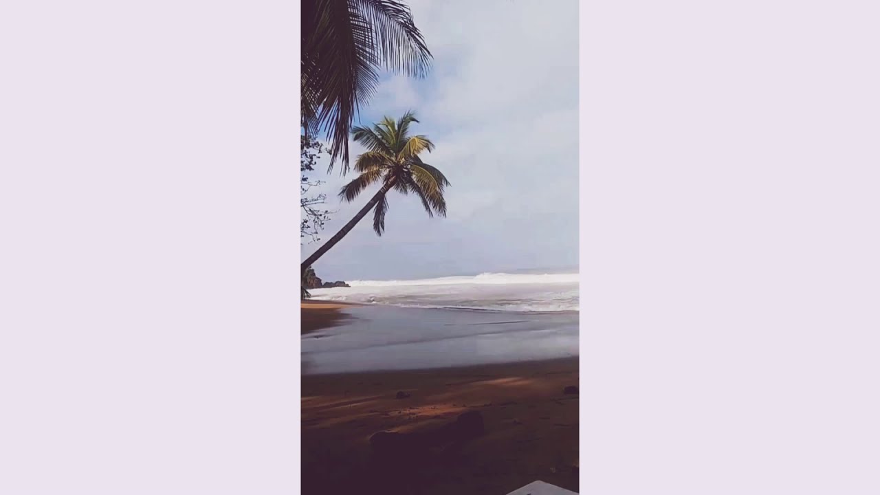 GIO RAPZOTIC - SANAR PARA AMAR [OFFICIAL VIDEO]