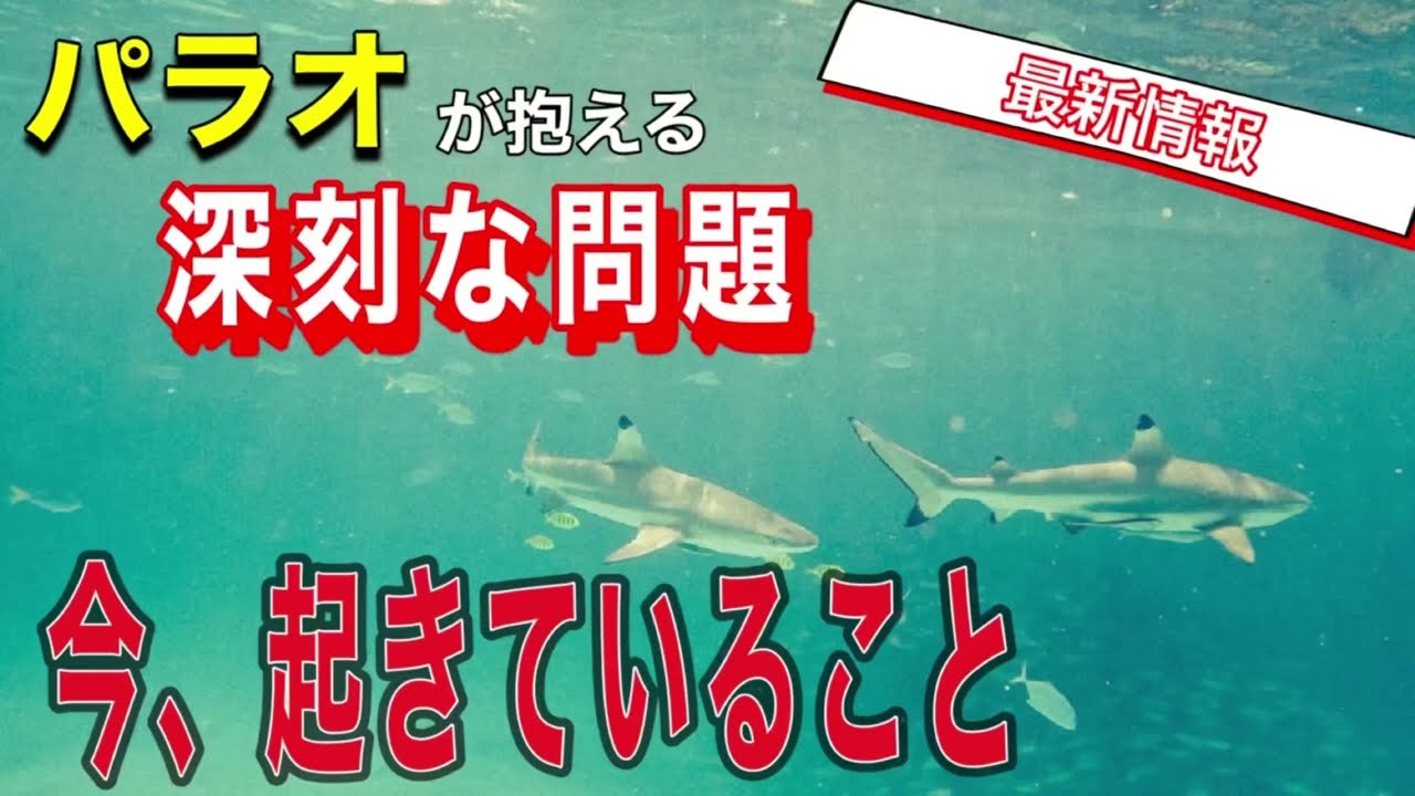 【気をつけて！】日本で報道されないパラオで2023年のパラオはどうなる【パラオ最新情報】