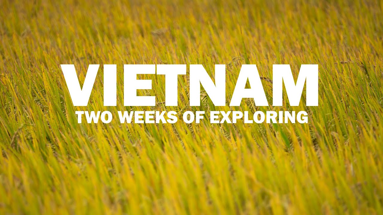 Vietnam - Two Weeks of Video Updates - Food, Travel, Exploring Streets, Nature and More!