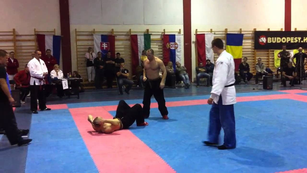 XV. Hanshi Kupa 2010:  Stregova Zsolt vs. Staudt György