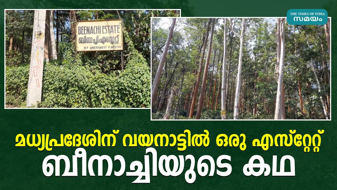 മധ്യപ്രദേശിന് വയനാട്ടില്‍ ഒരു എസ്റ്റേറ്റ്; ബീനാച്ചിയുടെ കഥ | BEENACHI ESTATE | Wayanad |