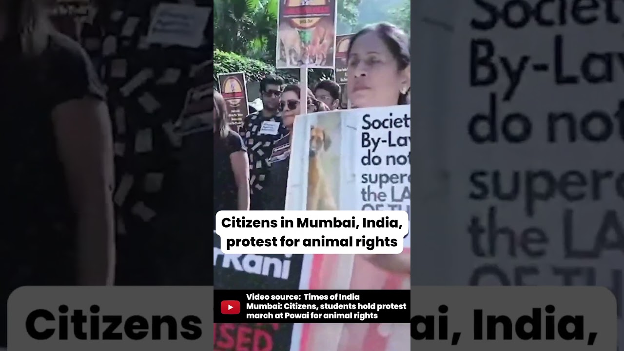 Citizens In Mumbai, India, Protest for Animal Rights ✊🇮🇳 #shorts #youtubeshorts #india