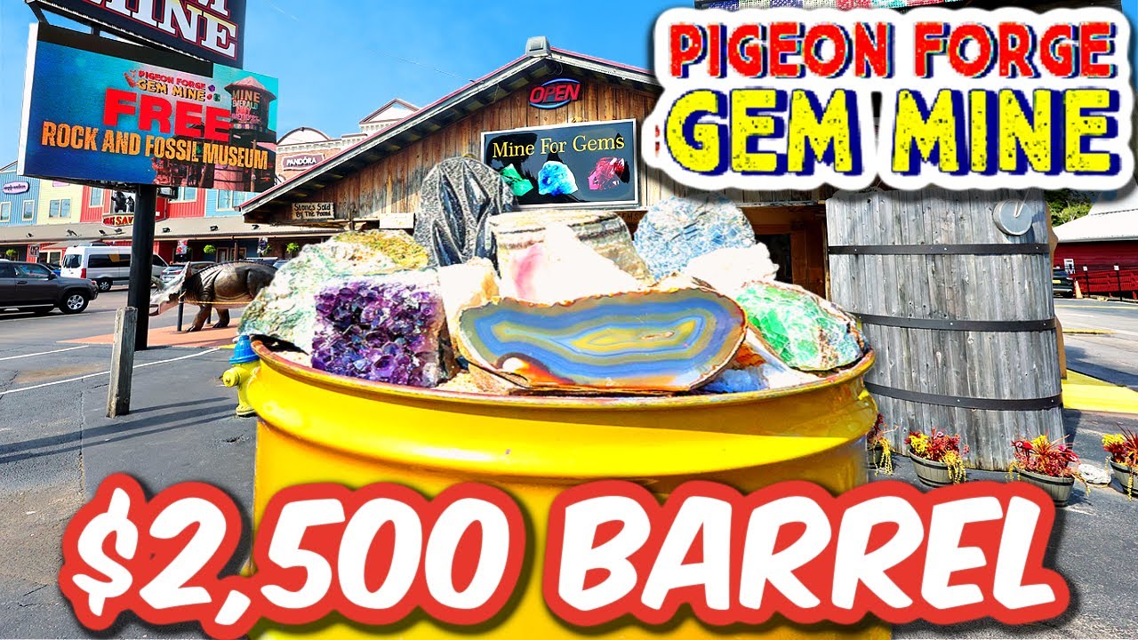 WE DID THE $2,500 BARREL @ PIGEON FORGE GEM MINE Rubies, Megalodon Teeth, Squid Fossils
