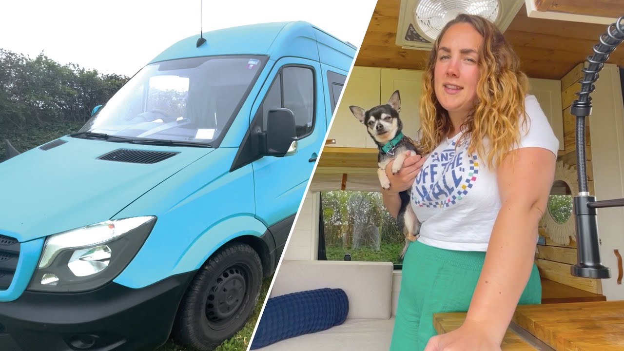 SUPER IMPRESSIVE Self-Build VAN CONVERSION w/ Shower 🚿 New Tech COMPOSTING TOILET 🚽 & CINEMA 🎥