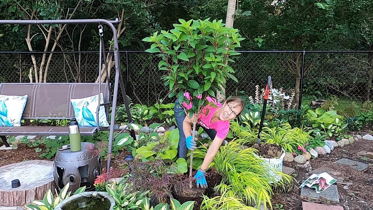 Beautifying my Chain Link Fence & Planting Tree Form Pinky Winky 🌺🎨💚 // Suburban Oasis August 2021