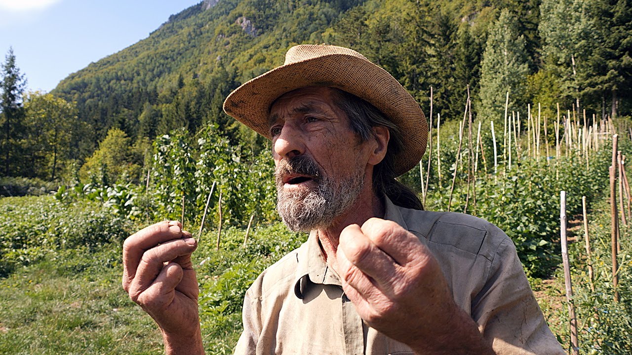 Vlašički robinzon - motika je najbolji lijek i to besplatan