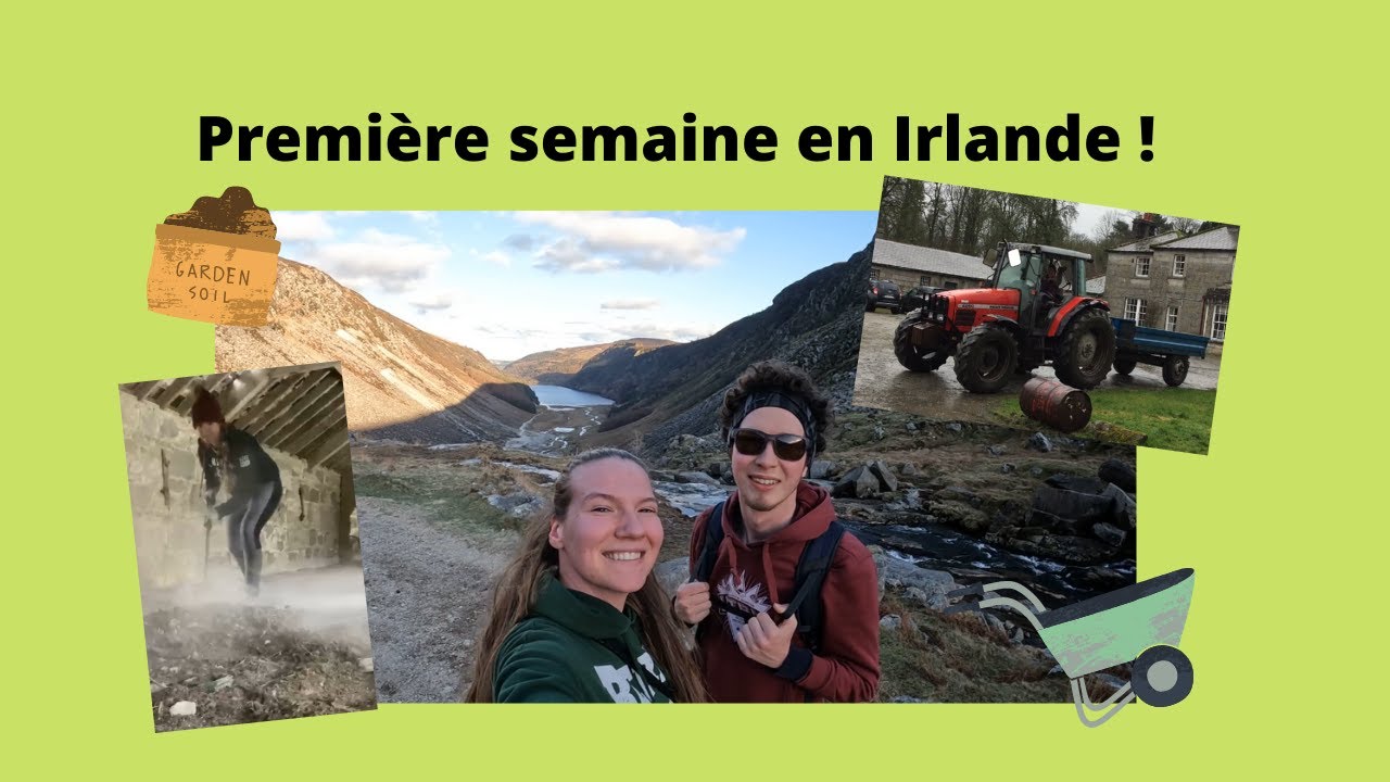 Première semaine en Irlande !