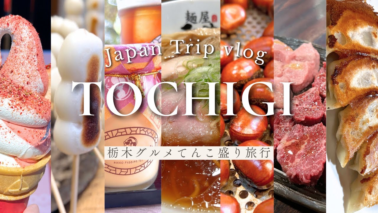 栃木vlog🥟おすすめグルメ15ヶ所！2泊3日🍂日光東照宮,大谷石採掘場跡,宇都宮グルメ,栃木グルメ,栃木旅行,宇都宮旅行,