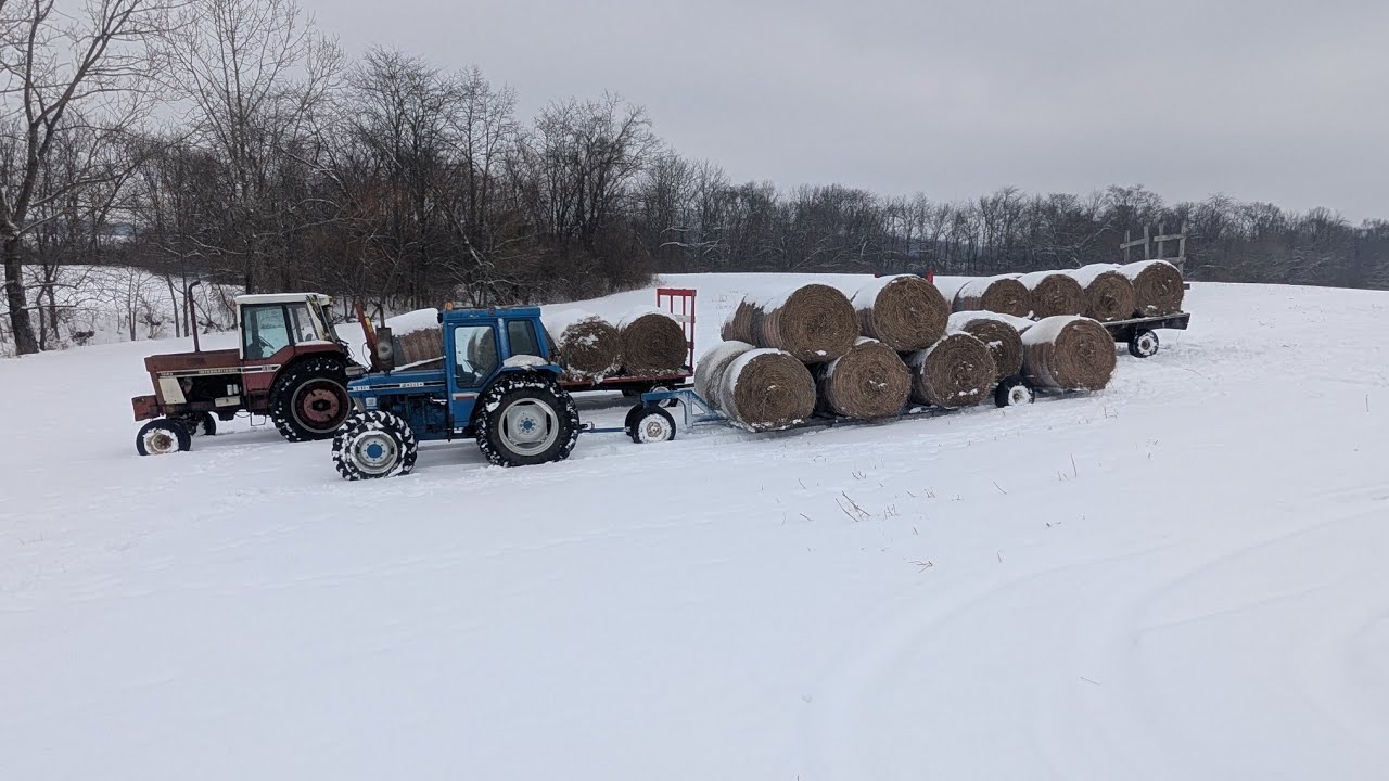 Loading Wagon Trains of Round Bales in the Snow