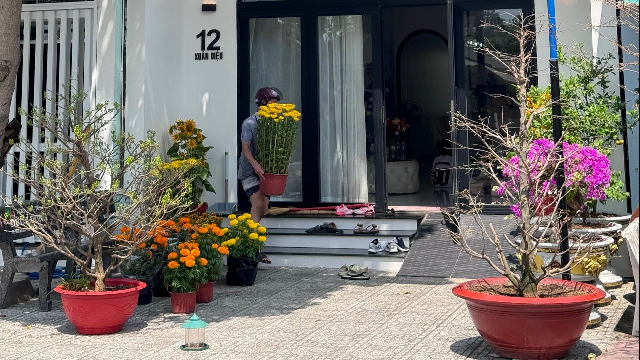 gia đinh đi mua bông  tết 2026 🌸🌸