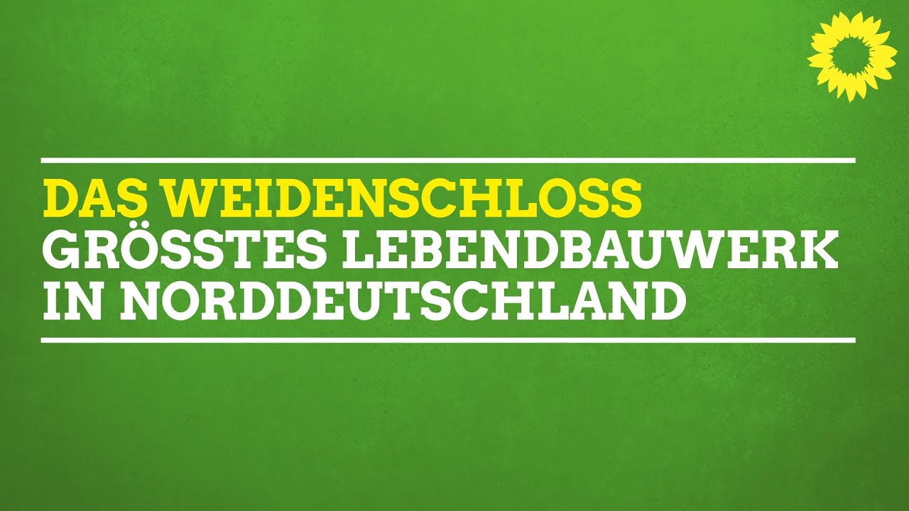 Weidenschloss in Speckenb&uuml;ttel w&auml;chst- Gr&ouml;&szlig;tes Lebenbauwerk  Bremerhavens - Maurice M&uuml;ller