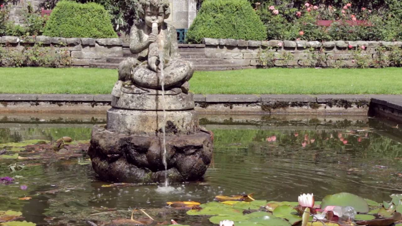 Excitement and Wonder In Pittencrieff Park