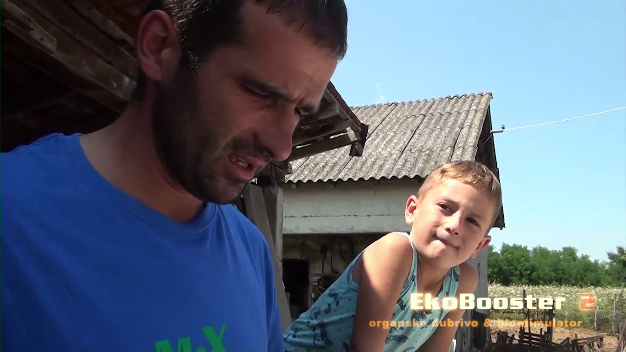 Osmogodi&scaron;nje iskustvo sa preparatima EkoBooster