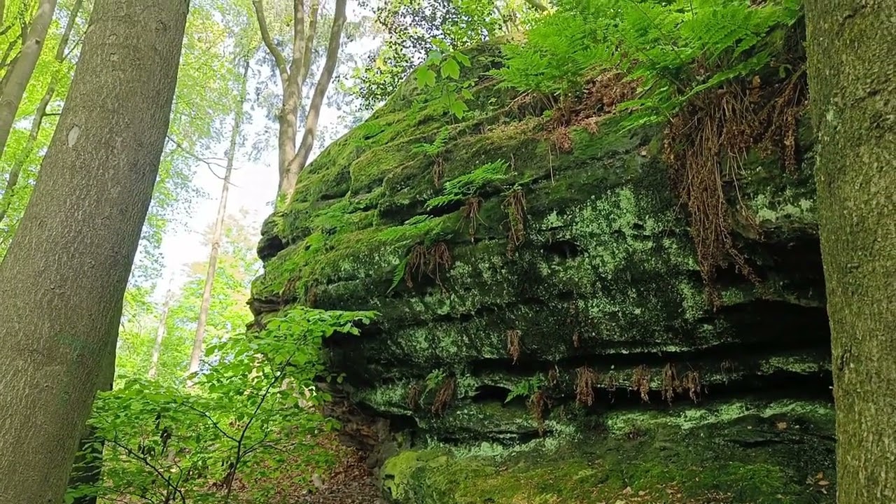 Hexenpfad Tecklenburg Duitsland
