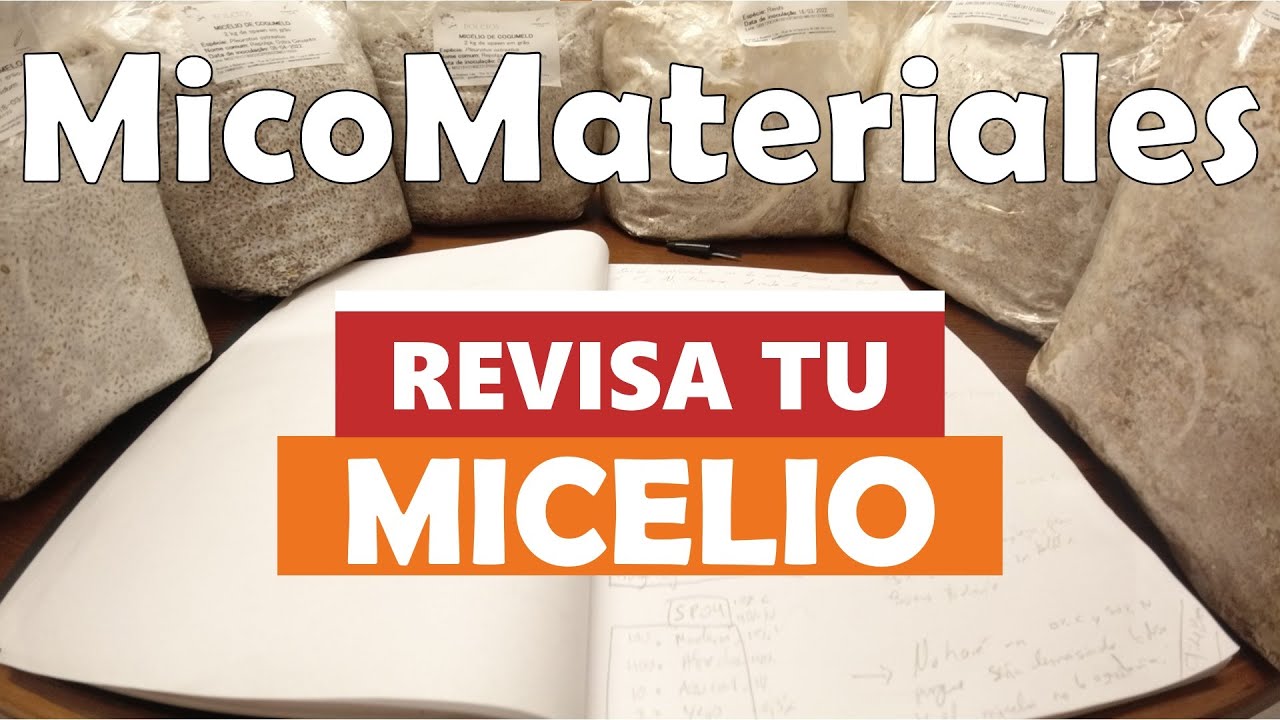 Unboxing micelio de Aromas e Boletos l Mycomaker