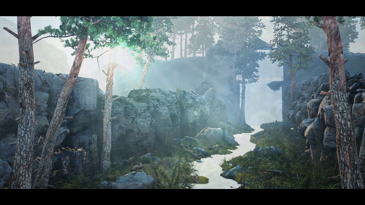 El Mejor Video 3D un viaje al bosque increible