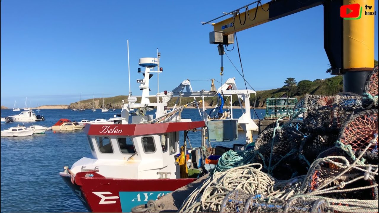 ÎLE DE HOUAT  🇲🇫  |  La vie du Port en été   |  Île de Houat TV