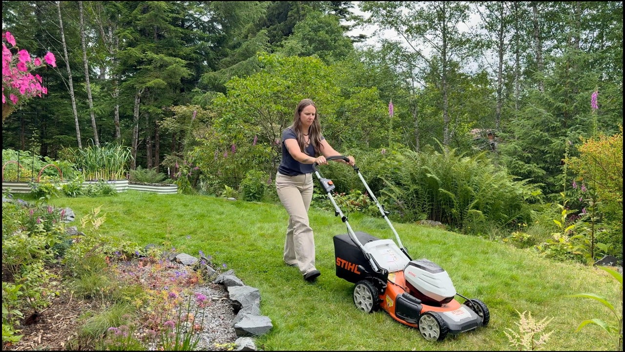 My Go-To Summer Lawn Care Routine