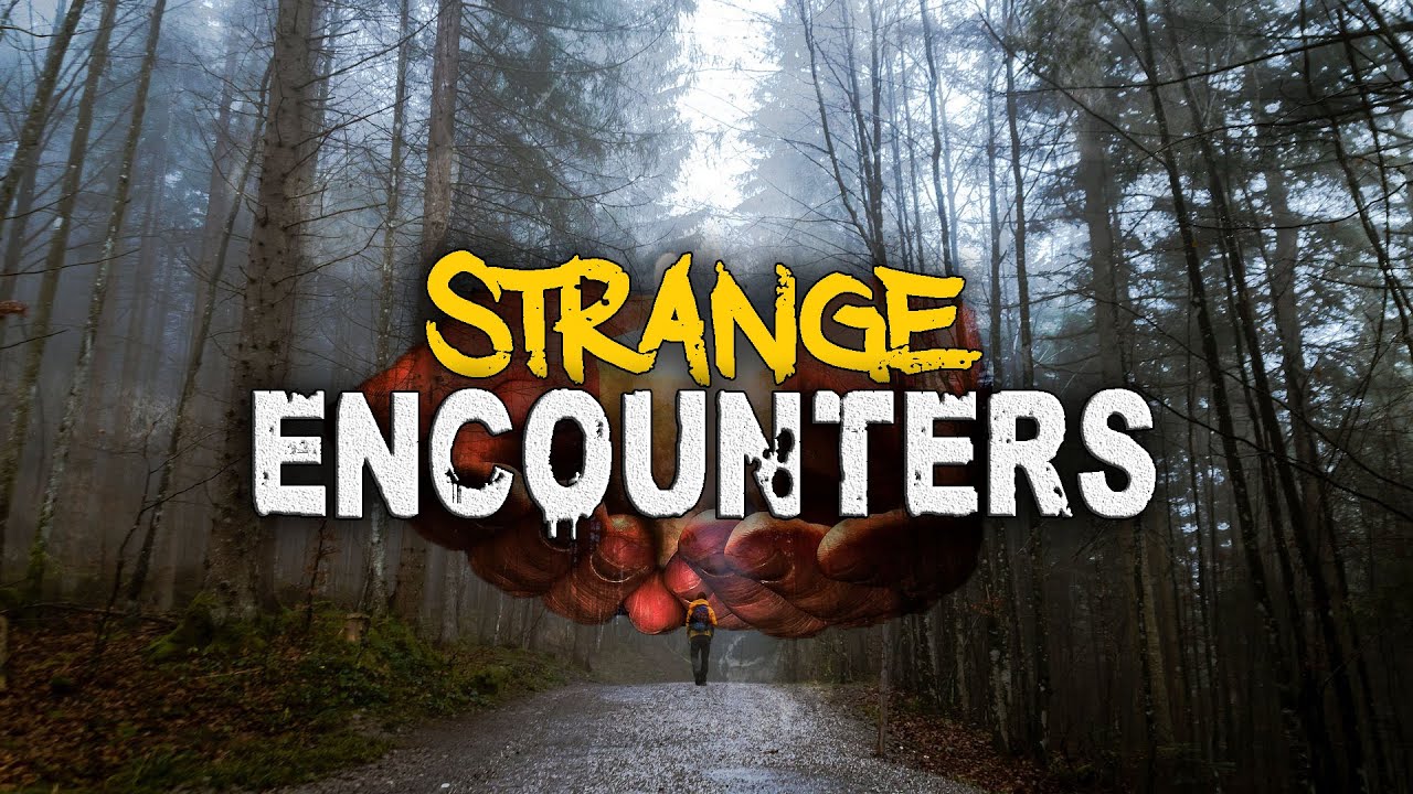 Journey into Darkness: Strange and Scary Cryptid Encounters