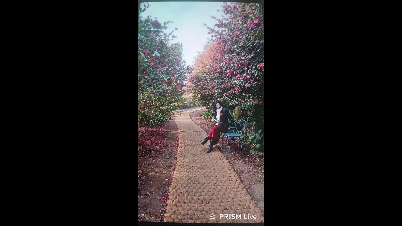 #2/22#샌드라제주일기2026 #짠띡꼬레아 #건강한중년