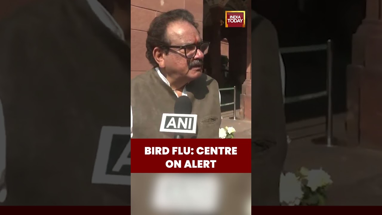 Bird Flu Alert: Centre Issues Advisory, Says Situation Under Control