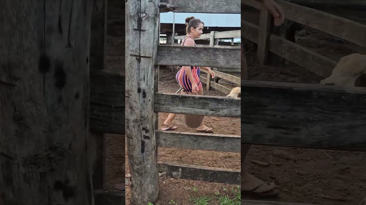 Village Life Morning Routine | Farm Work Daily Life | Rural Lifestyle Vlog #villagelife #farming