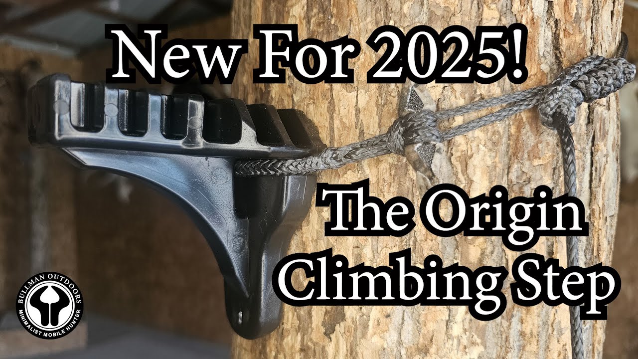 2025's Newest Mobile Climbing Step