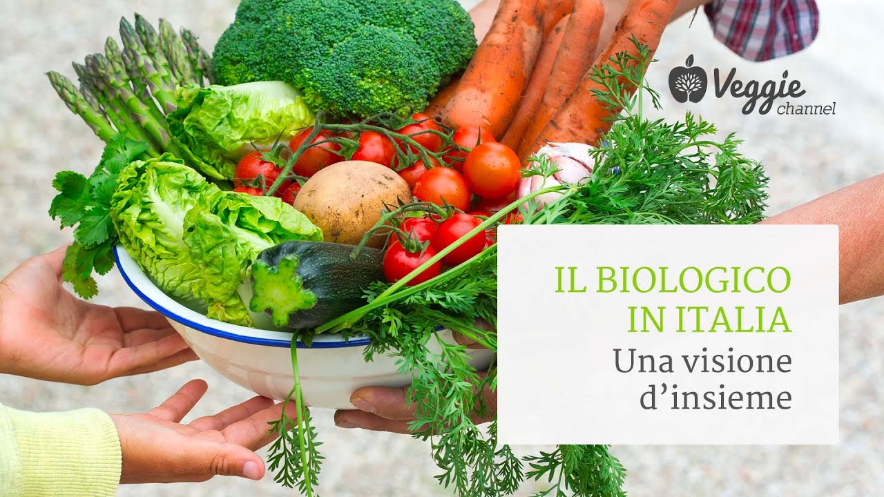 Il biologico in Italia: una visione d&rsquo;insieme