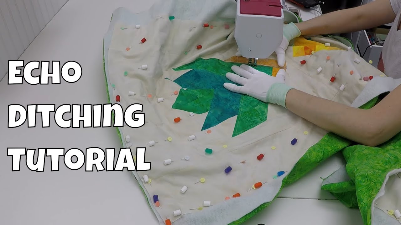 Ruler Foot Quilting Basics and Echo Ditching Tutorial with Leah Day