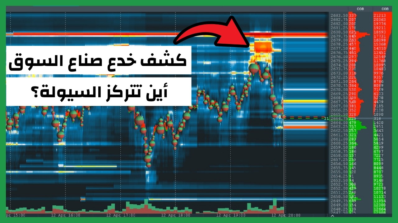شرح البوكماب الكامل للمبتدئين 2025 | كيف تقرأ خريطة السيولة وتدفق الأوامر لتجنب فخاخ السوق