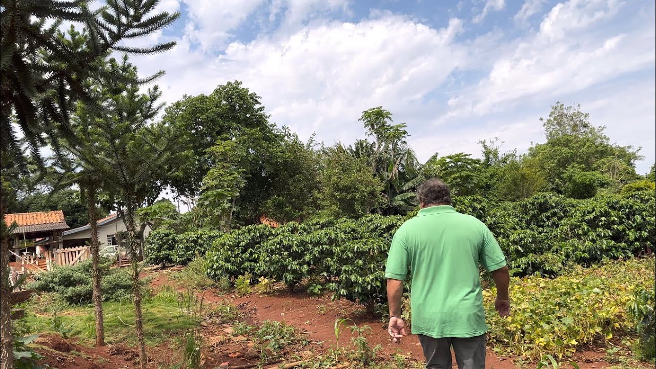 Fazendo fartura num pedacinho de chão# com muitas variedades de plantas 🪴  🌱