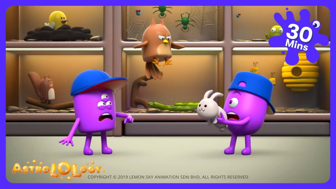 AstroLoLogy - Hayvan Macerası: Balık Avı! | Çocuk Çizgi Film | WildBrain Eğlence Parkı