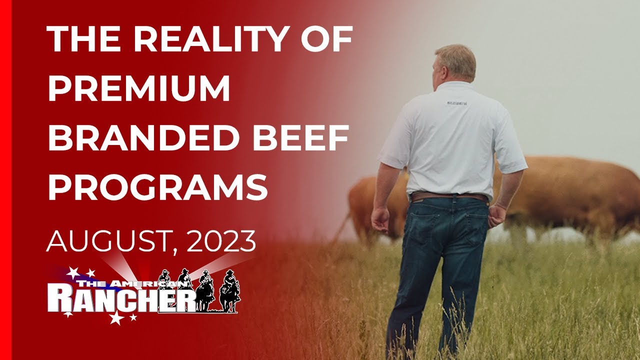 HeartBrand Beef  - The reality of premium branded beef programs. The American Rancher 08 07 23