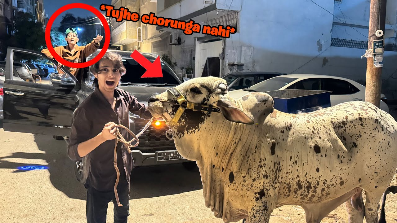 VAMPIRE KA BULL CHORI KARLIYA!🐄*HE GOT ANGRY*