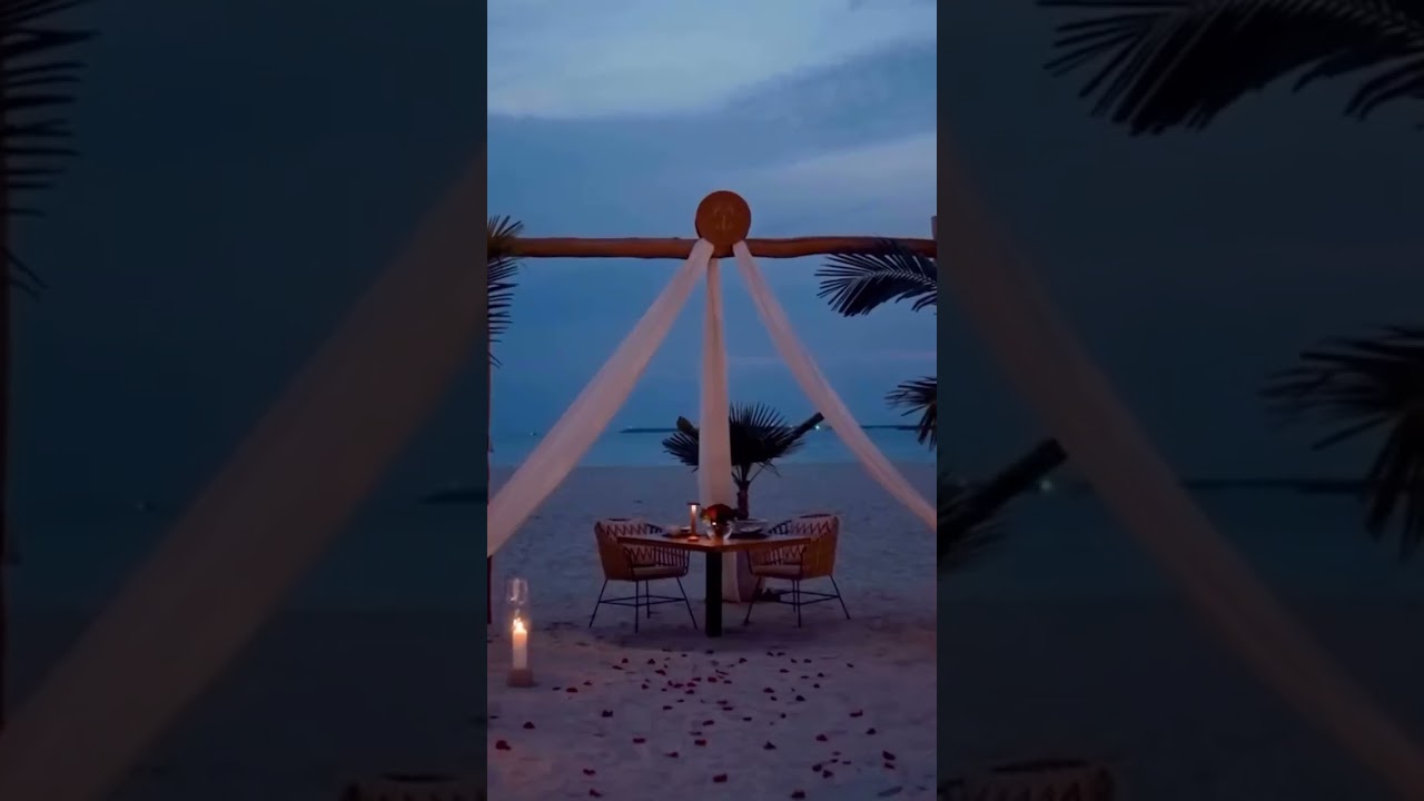 Площадки для проведения свадьбы в ОАЭ | Wedding in the UAE #wedding #shorts