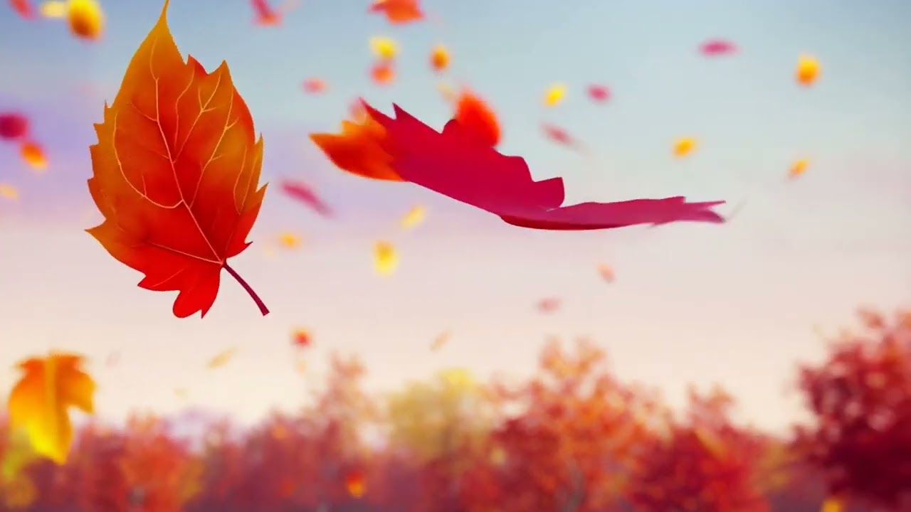 Autumn Glow 🍂 Lofi Anime Vibe