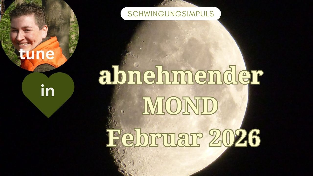 abnehmender Mond Februar 2026    die aktuelle Zeitqualit&auml;t