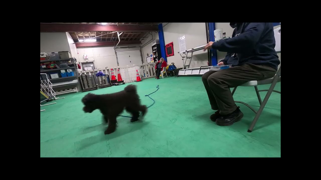 Treat Retreat Watching the Safe Zone Change