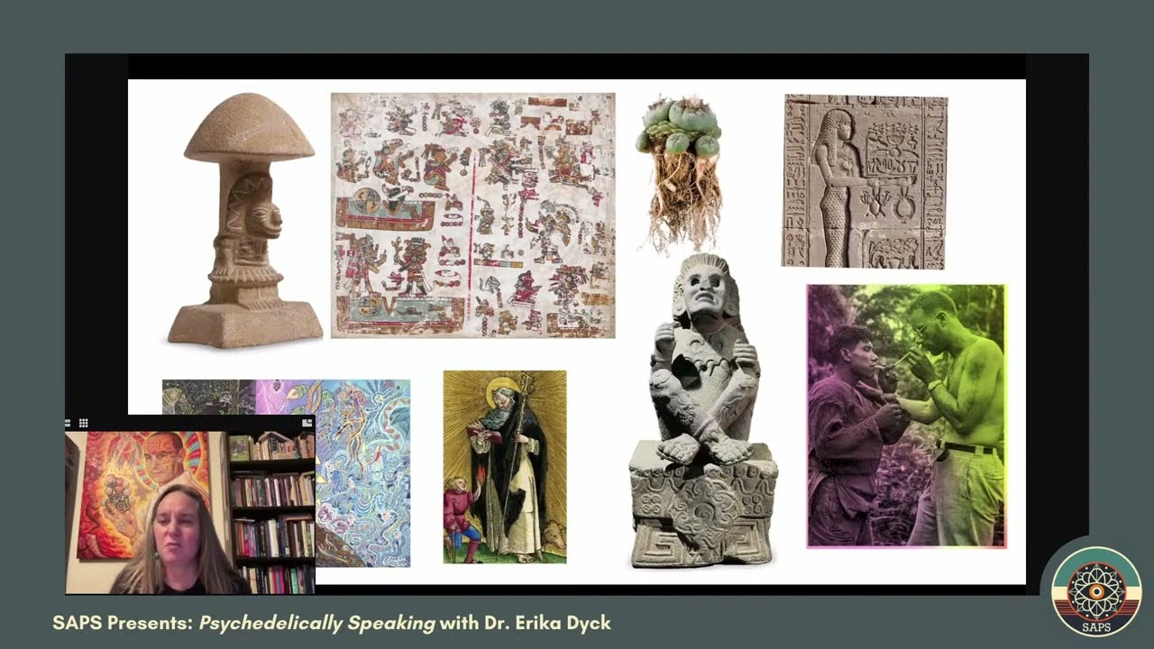 Psychedelically Speaking #1: Psychedelic History with Dr. Erika Dyck