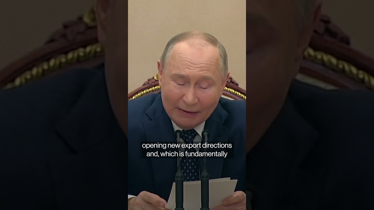 Putin Says Energy Sector Doing Well Despite Russian Sanctions